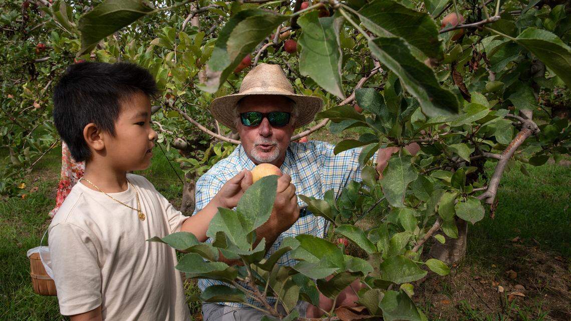 USDA’s agricultural census is live. What Central Valley farmers should know in California