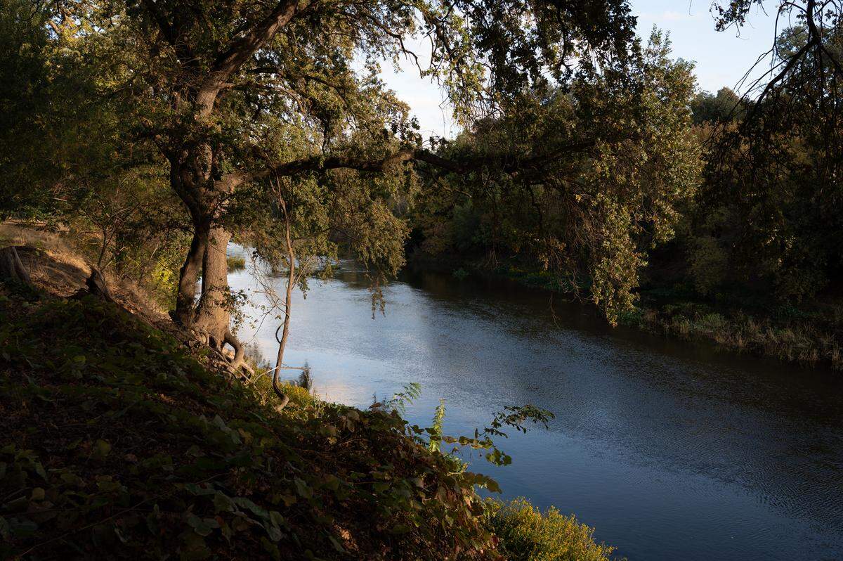 A view of the Tuolumne River from the walking trail in Mary Grogan Grove in Modesto, Calif., on Thursday, October 27, 2021.