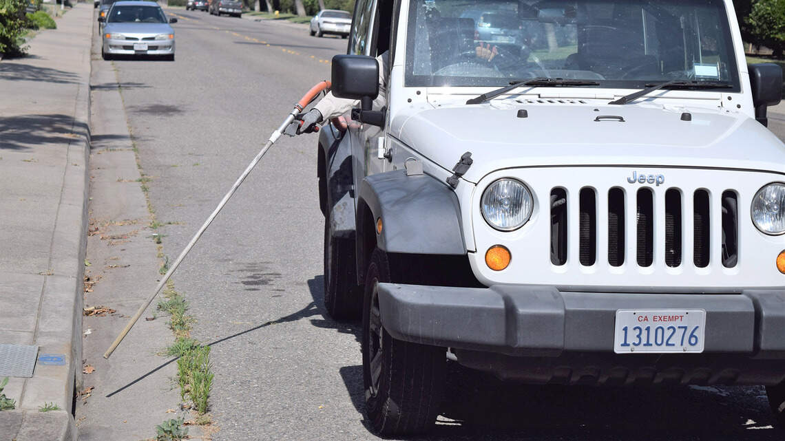 Stanislaus County reports first case of West Nile illness this year. What you need to know