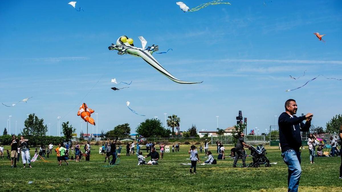 Kites soar into the sky during the 2015 Livingston Kite Festival presented by the Knights of Columbus at Livingston Middle School.
