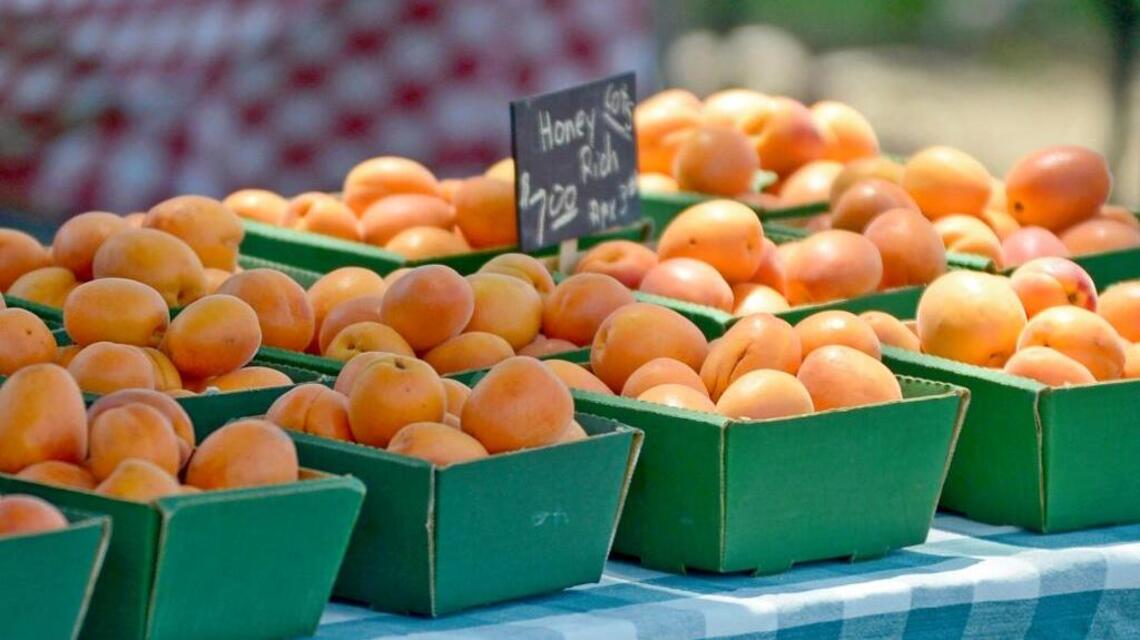 Festivals, fairs rev up June in Modesto region