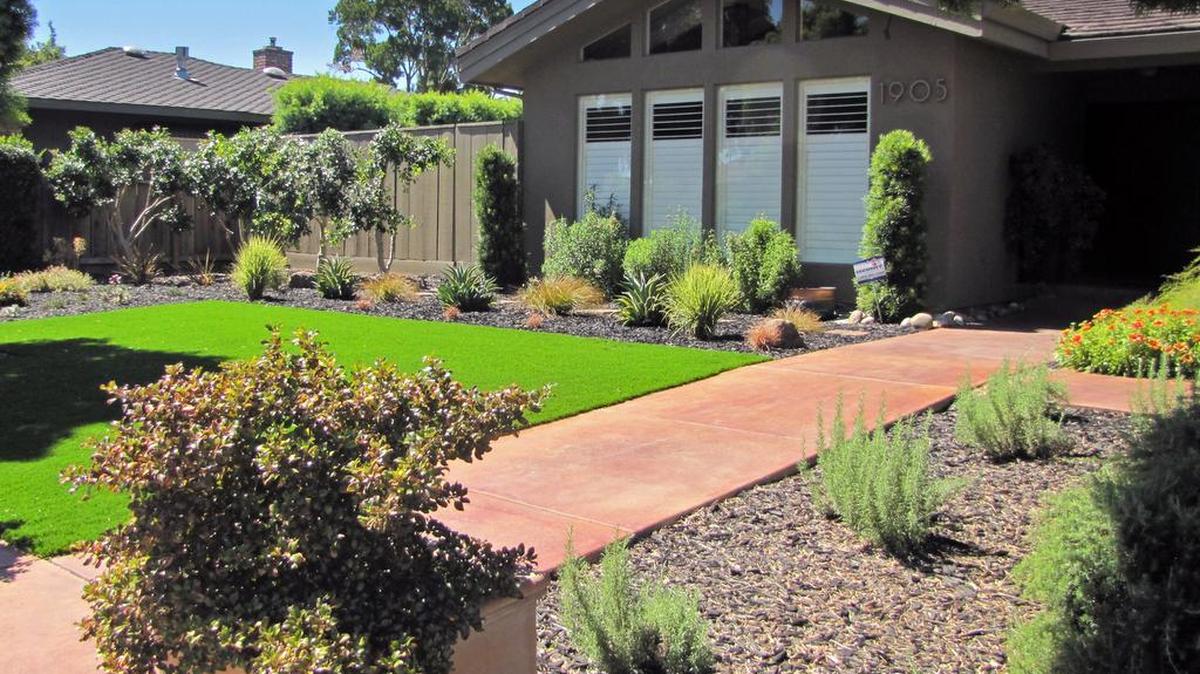 This yard on Chelwood Way, which includes a patch of artificial grass, earned Garden of the Month honors for July from the Modesto Garden Club.