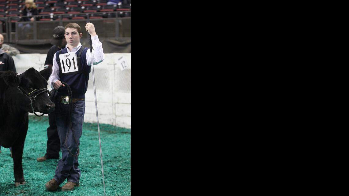 Modestan at international livestock expo