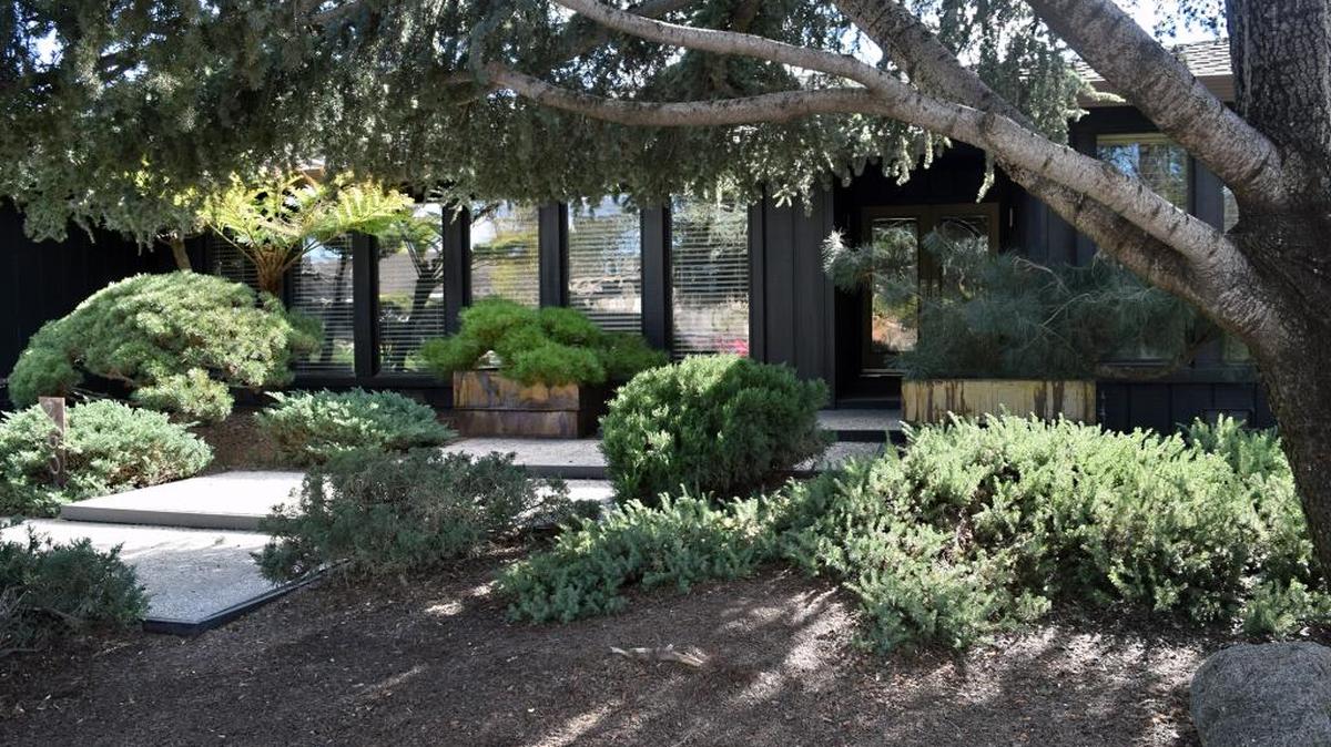 This yard, photographed Feb. 23, on Marlboro Place in east Modesto garnered Garden of the Month Honors from the Modesto Garden Club.