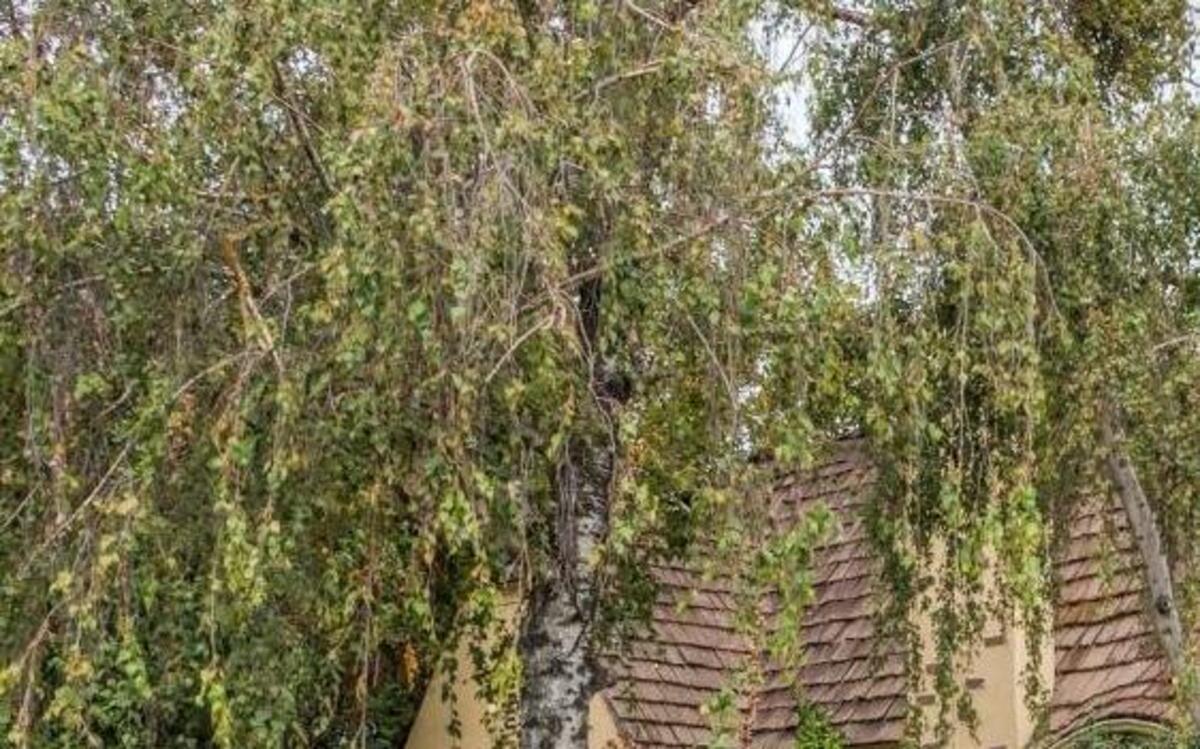 One of the homes on this year’s Modesto Garden Club Spring Garden Tour.