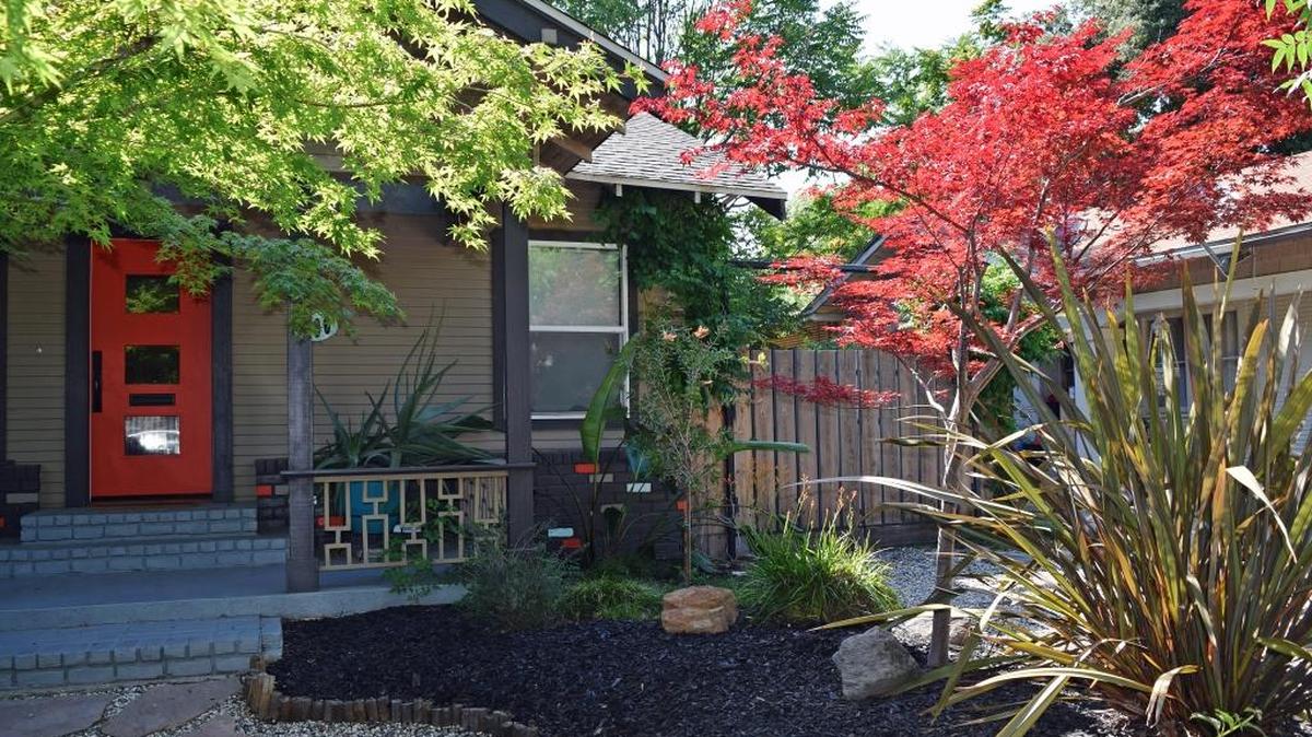 This house on Sycamore Avenue garnered Garden of the Month honors for June from the Modesto Garden Club. (Thursday, May 25, 2017)