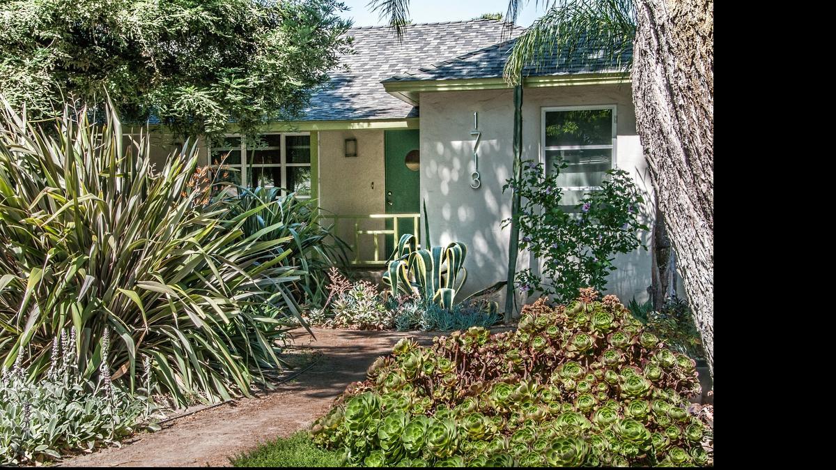 
Michelle Tucker’s Stetson Avenue yard is July’s Garden of the Month.
