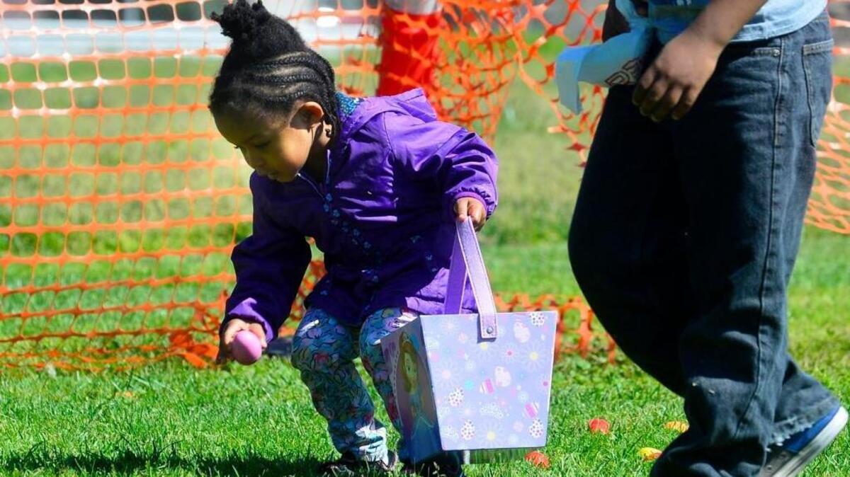 Eggs found during the 2016 Eggstreme Easter Egg Hunt at The House Modesto.