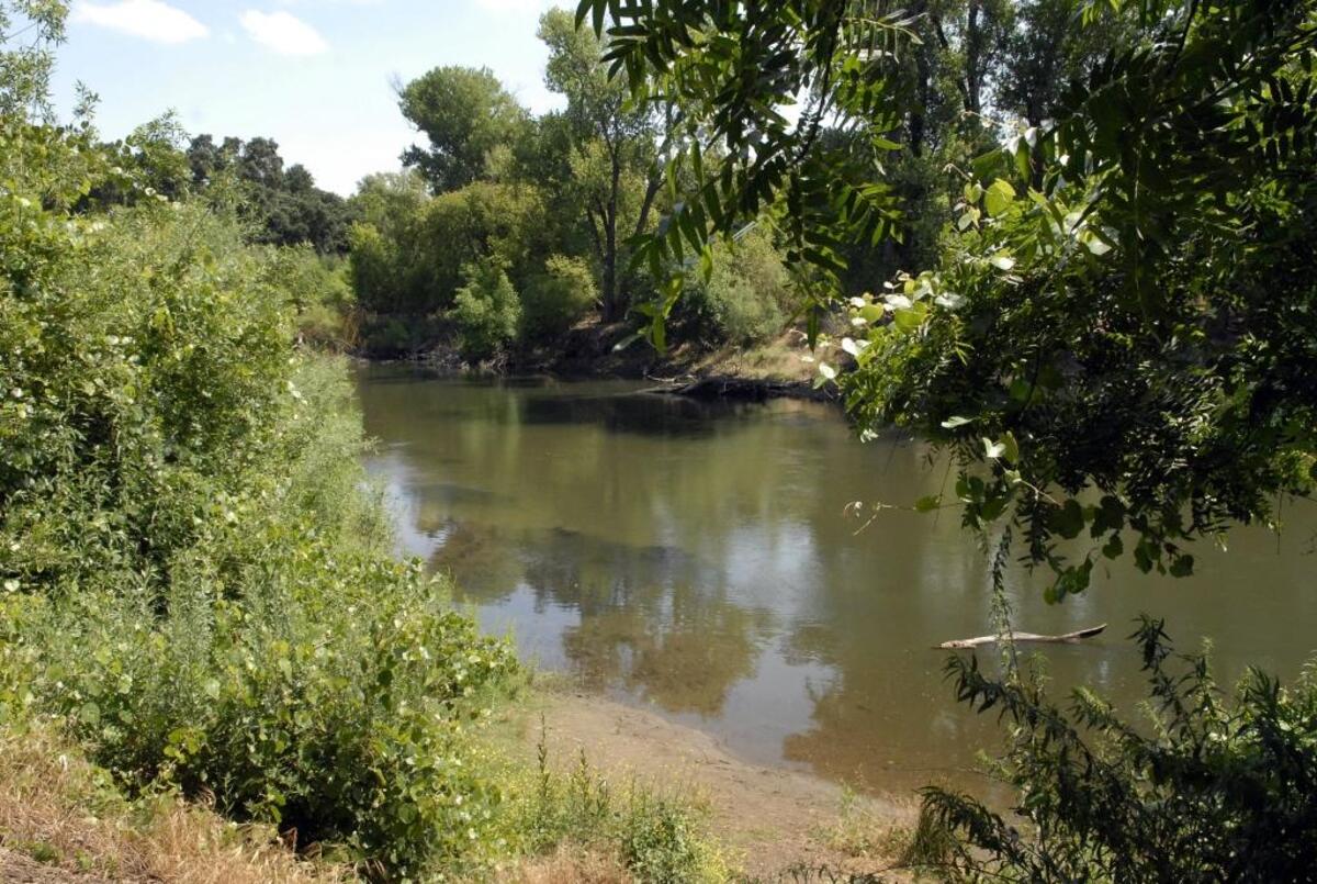 Caswell Memorial State Park is located along the Stanislaus River near Ripon.