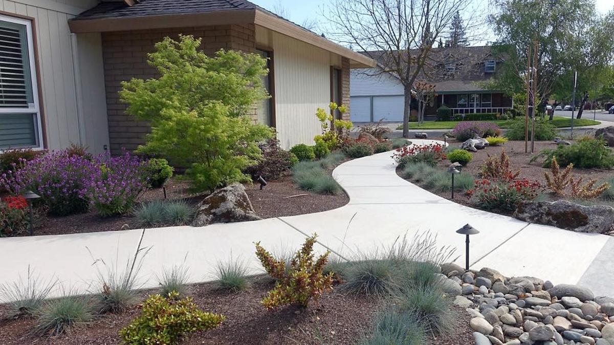 This Sylvan Meadows yard garnered May Garden of the Month Honors from the Modesto Garden Club.