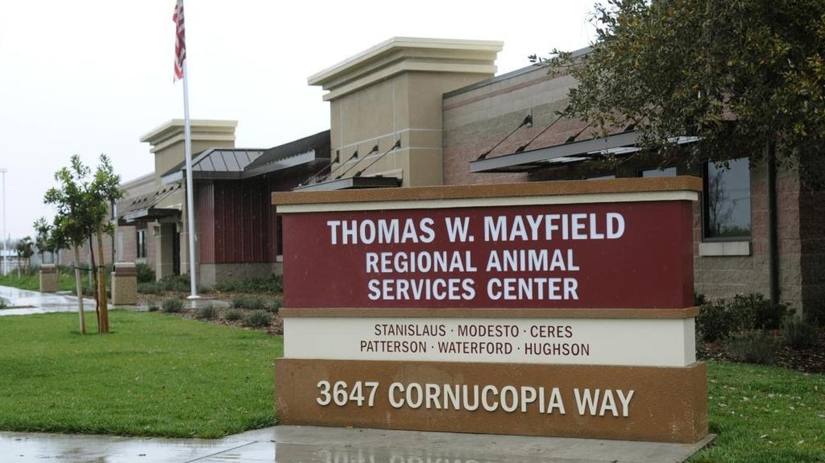 Stanislaus Animal Services Agency on cornucopia way in Modesto 