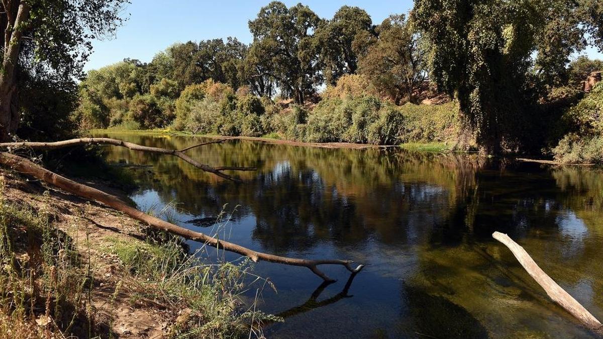 The State Water Resources Control Board released its long-delayed Substitute Environmental Document that unsurprisingly calls for larger amounts of water from the Stanislaus, Tuolumne and Merced rivers to be sent through to the ocean for the benefit of fish. This unsurprisingly touched off intense anger in our region.