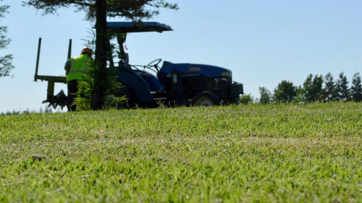 A worker mows the green turf at the Turlock Regional Sports Complex in 2015, kept healthy with non-potable water.