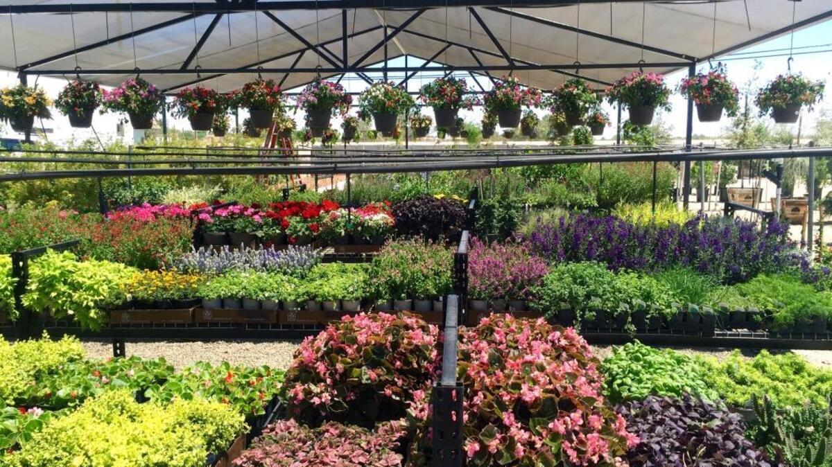 The nursery at California Landscape Supply is pictured in Ceres, Calif.