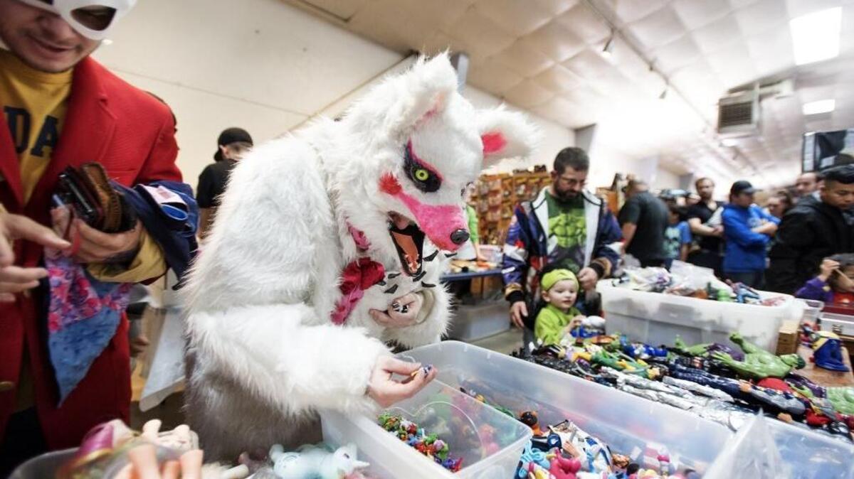 A cosplayer browses the Turlock Comic Con held in February at the Stanislaus County Fairgrounds in Turlock.