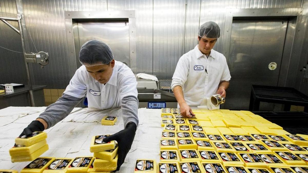 Jose Alderete, left, and Jordan LaCoste process cheese at Fiscalini Cheese Co. in Modesto, Calif., on Tuesday, December, 16, 2014. Fiscalini won a trophy at the World Cheese Awards for best mature traditional cheddar with its Bandage Wrapped Cheddar, aged for 18 months at its Kiernan Avenue plant.