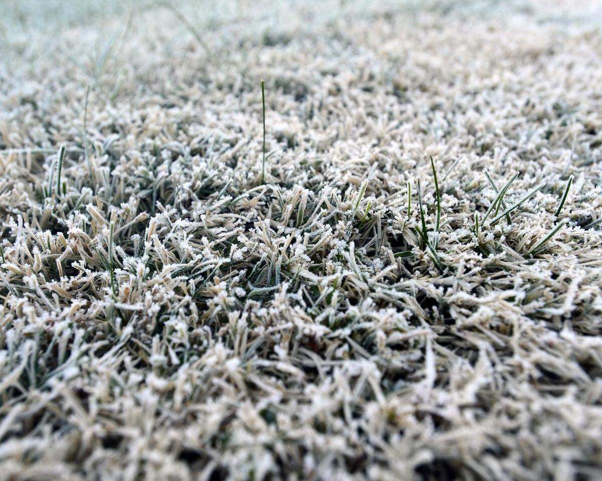 The National Weather Service has issued a freeze warning for the Modesto area through Wednesday morning, Feb. 20, 2018.