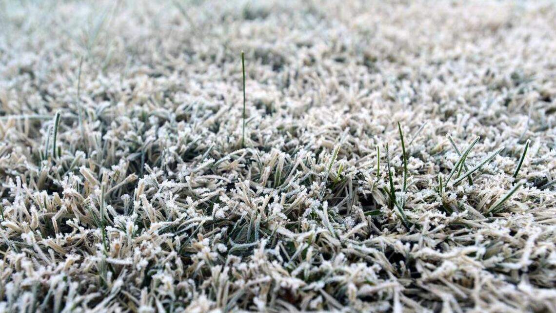 Modesto Weather Modesto CA weather: Rain and freezing temperatures | Modesto Bee