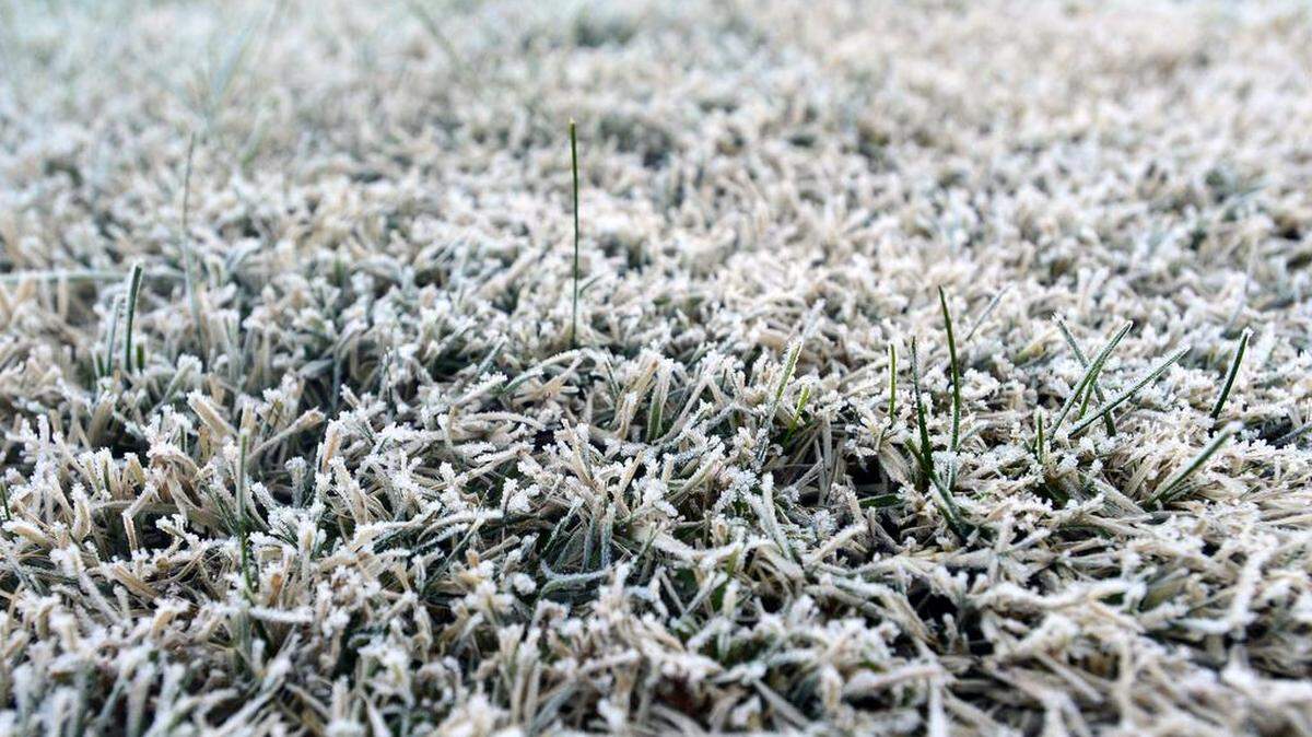 The National Weather Service issued a freeze warning for the Modesto area through the morning of Tuesday, Feb. 11, 2024.