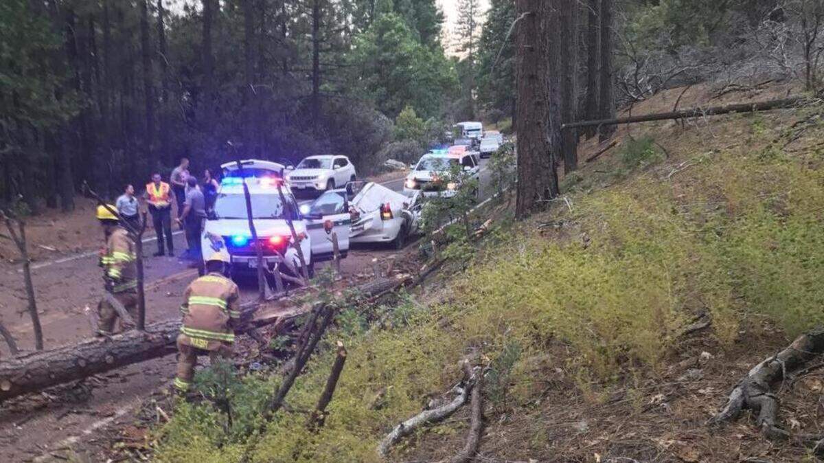 An adult and a child suffered major injuries when a large tree limb fell on Big Oak Flat Road near the Crane Flat Campground in Yosemite National Park on Sunday, Sept. 3, 2017, crushing their car.