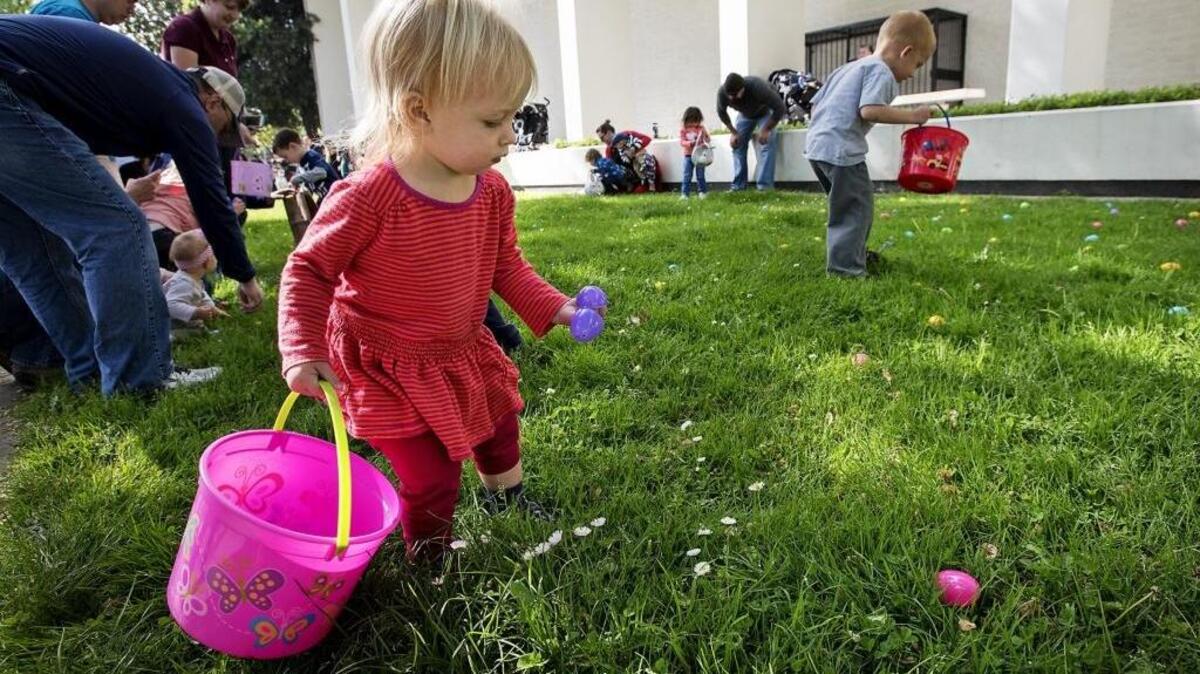 Madelyn Majewski, 1, gathers up eggs treats during an Easter egg hunt at the Modesto Farmers Market in Modesto, Calif., on Saturday, April 15, 2017.