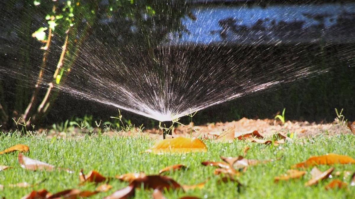 
The city of Modesto will start issuing citations and skipping warnings for those who violate water restrictions.
