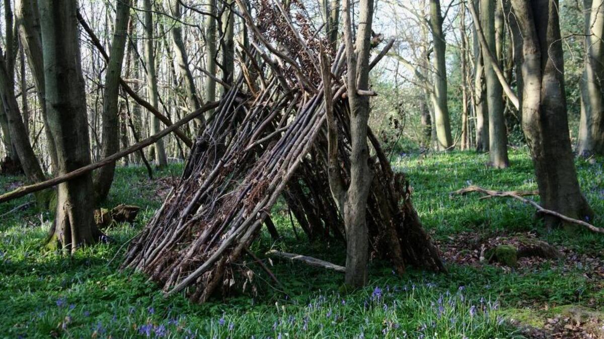 Eeyore houses spring up in the woods of Ashdown Forest in “The Natural World of Winnie-the-Pooh” by Kathryn Aalto, who grew up in Escalon.