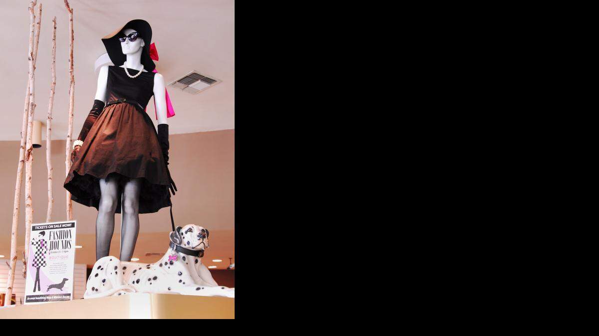 
A mannequin and dog greeted guests at an Oct. 25 fundraiser for Wags and Whiskers Rescue at Salon Salon.
