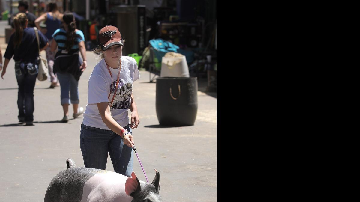 
A young girl walks a pig at the Stanislaus County Fair in Turlock.
