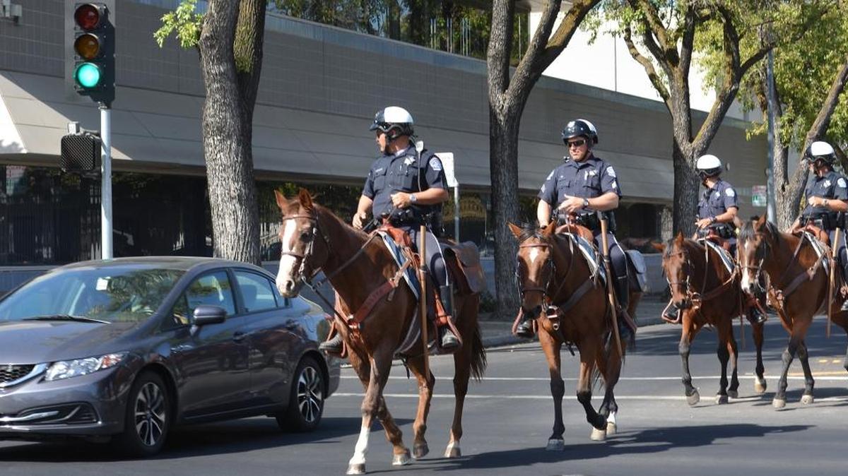 Officers Matt Ponce, Luis Arroyo, Joe Pimentel and Sgt. Mark Weigle of the Modesto Police Department’s mounted patrol ride through the intersection of 14th and H streets in downtown Modesto, Calif., on Monday, Oct. 10, 2016. They were exercising the horses around town, including a ride along the Virginia Corridor trail before heading downtown.