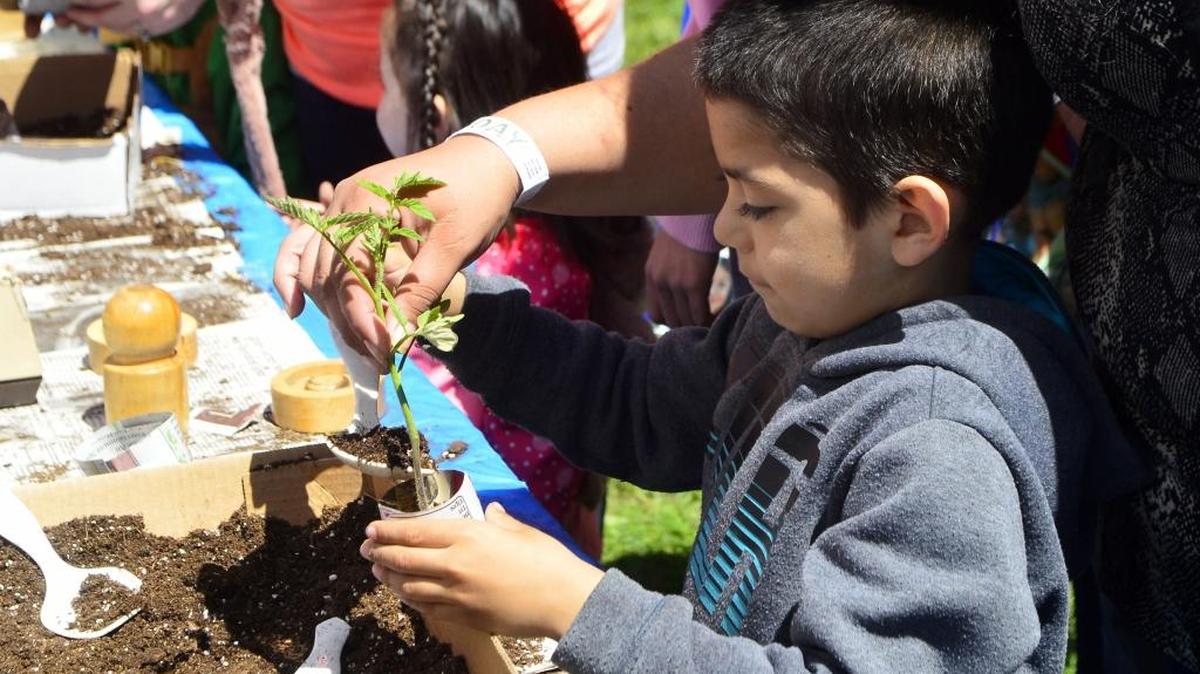 Esteban Fernandez, 8, makes a tomato plant start in a newspaper pot during Modesto’s 27th annual Earth Day in the Park at Graceada Park in Modesto, Calif., on Saturday, April 23, 2016.