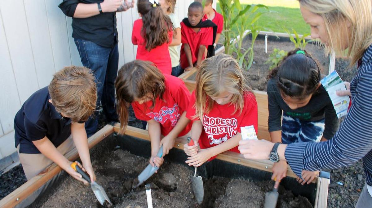 Third-graders from Modesto Christian Elementary School plant seeds for vegetables to sell, with the profits going to build a greenhouse on campus.