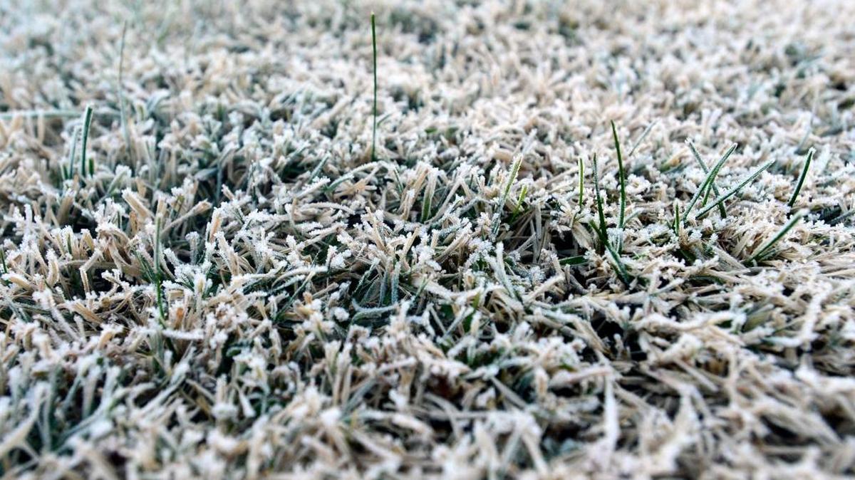 Frost covers grass in Oakdale early Sunday morning, Nov. 29, 2015.