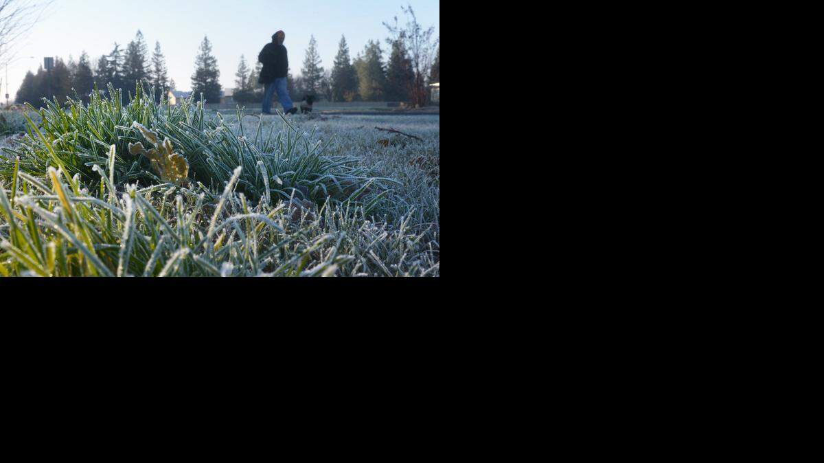 
Frost dusts the lawn at Donnelly Park as an early dog walker braves the chill. The early morning temperature dipped below into the low 30s on Jan. 1, 2015.
