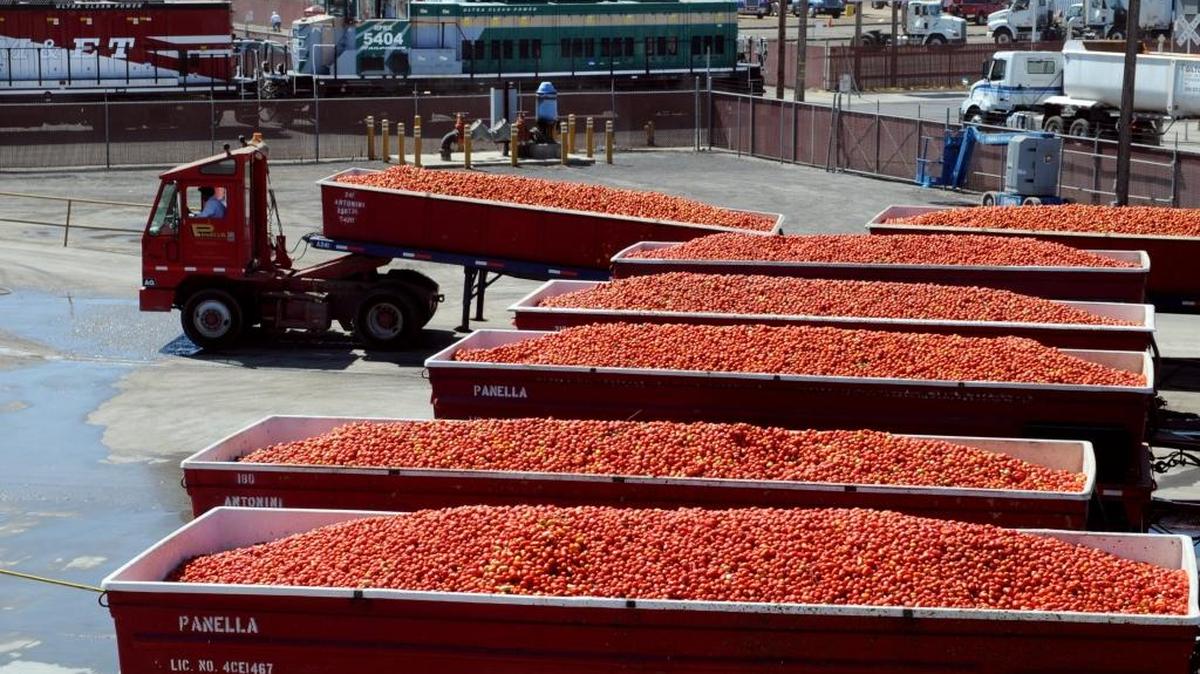 Truckloads of tomatoes await a pre-processing bath at Stanislaus Food Products in downtown Modesto.