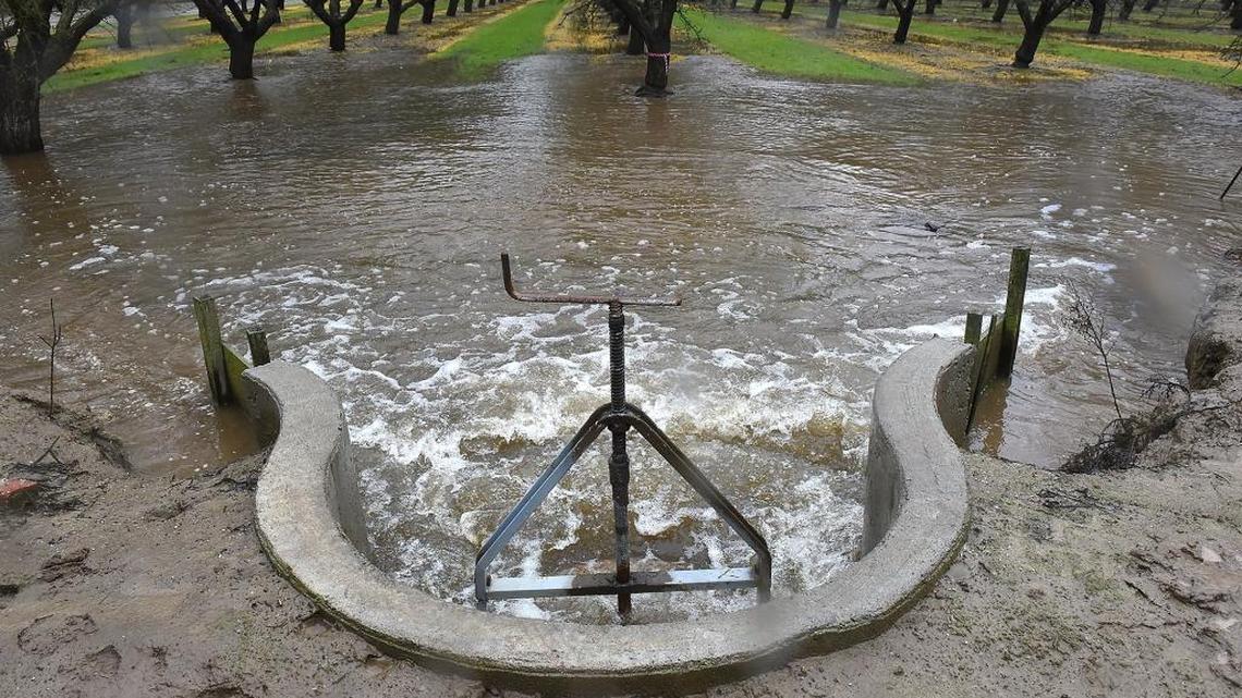 Captured storm runoff is used to irrigate an almond orchard Jan. 19, 2016, at the Paradise Road farm of Nick Blom, a board member for the Modesto Irrigation District. 