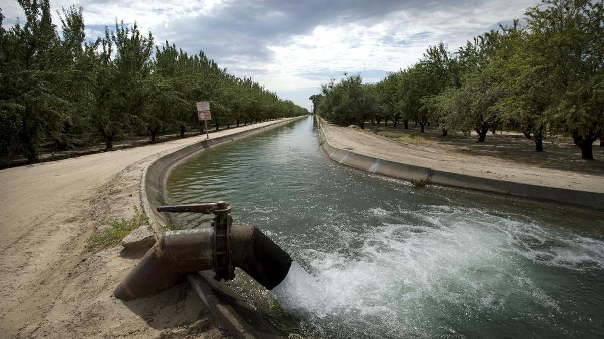 Turlock Irrigation District board member Michael Frantz will speak to the California State Board of Food and Agriculture on Tuesday in Sacramento.