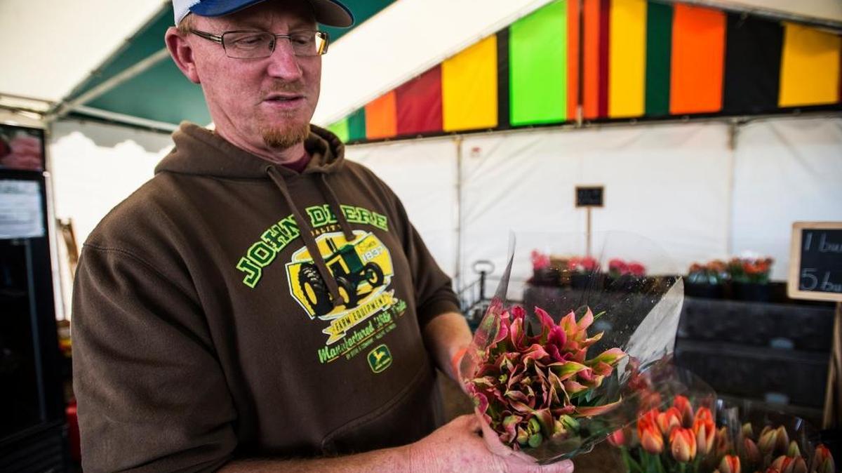 John Bos Jr., owner of Dutch Hollow Farms at 5101 Oakdale Road in Modesto, holds Groenland tulips earlier this year. Bos said he plants more than 100,000 tulip bulbs per year.