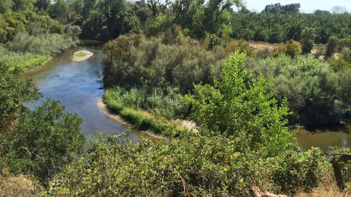 The Stanislaus River is pictured on Thursday afternoon, Sept. 15, 2016, on River Road east of McHenry Avenue near Escalon, Calif.