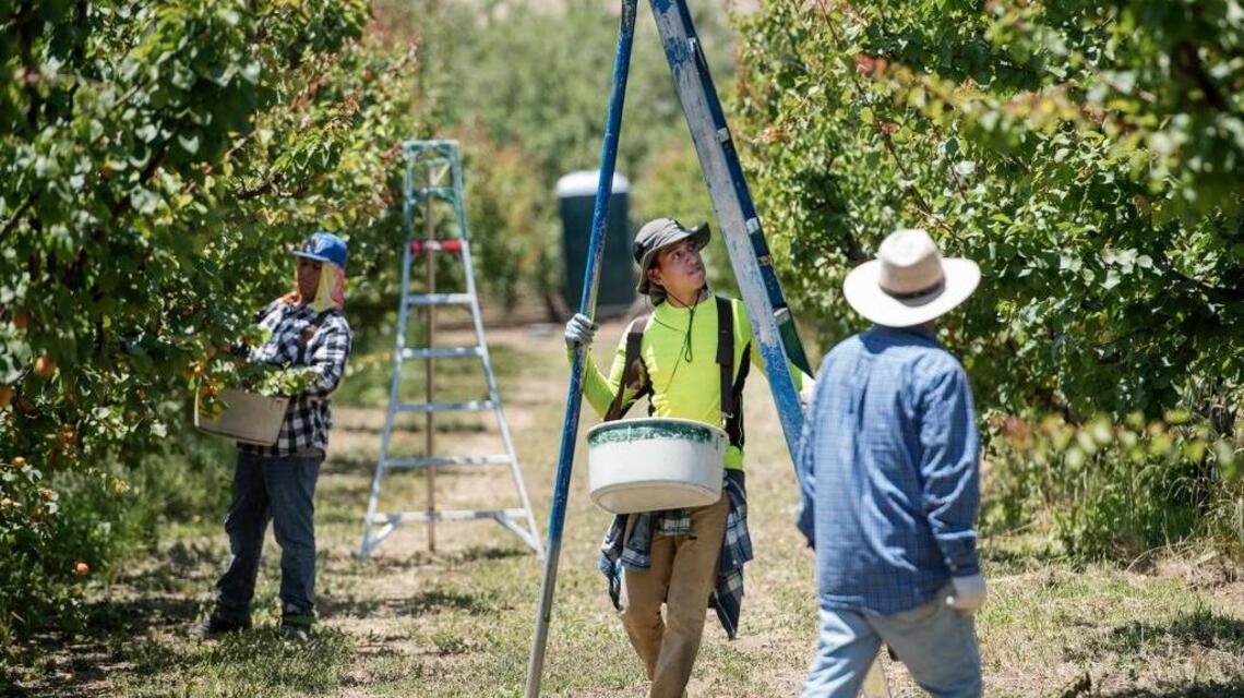 Heat’s a danger to farmworkers in Stanislaus, Valley region. Climate change makes it worse