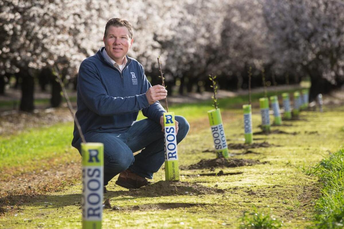 Third-generation farmer Tim Roos started the wholesale nursery Roos Tree Nursery in Oakdale, Calif. in 2018.