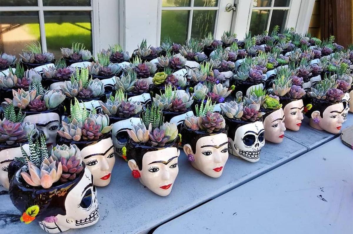 The first-ever Mercado Vida, a pop-up makers market for Latinx creators, will feature clothing, homegoods, food and more. Planters by Seelene Succulent Orbs are pictured.
