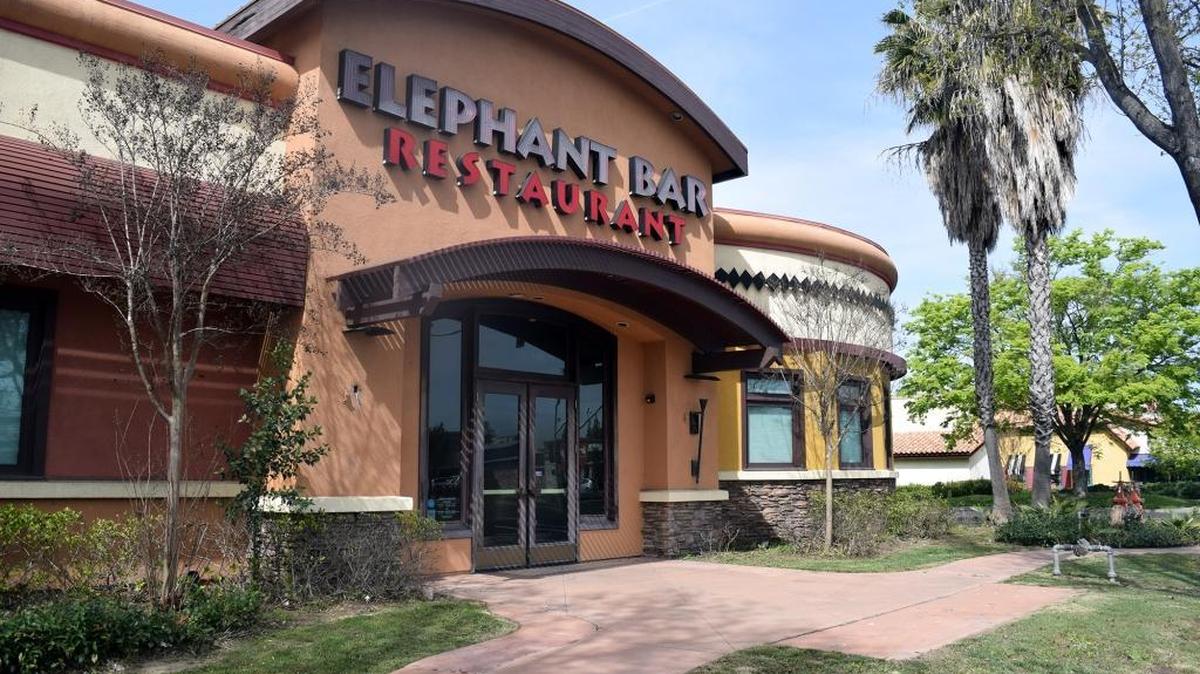 The Elephant Bar near Vintage Faire Mall may soon make way for a new business. Pictured March 16, 2017.