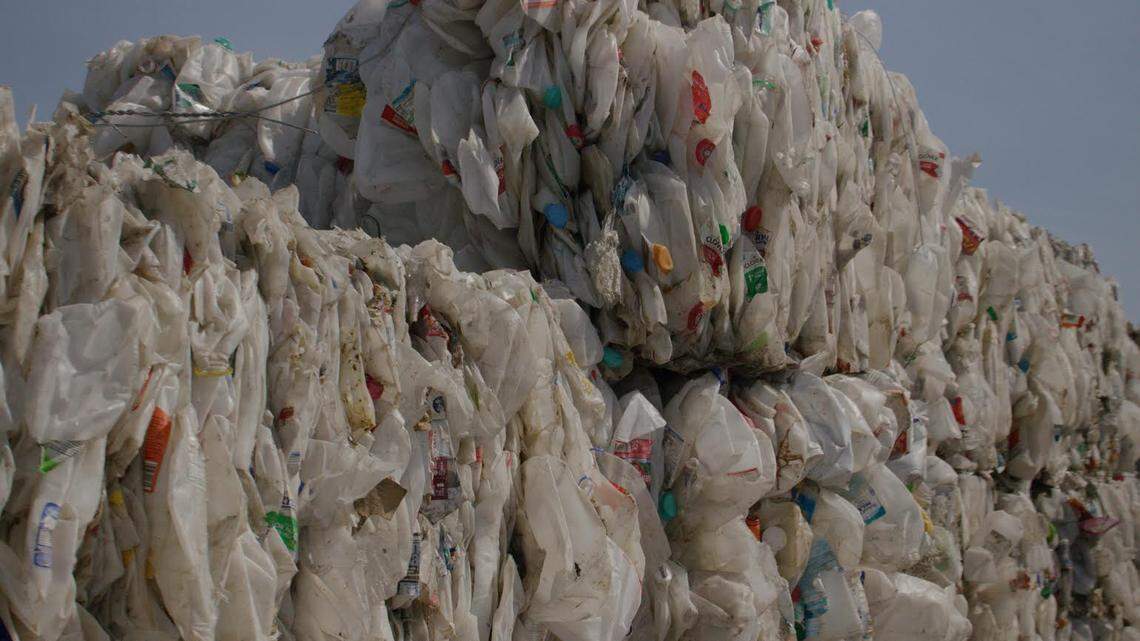Plastic milk jugs await recycling into new products. The California Milk Advisory Board announced a new recycling campaign on Oct. 7, 2021.