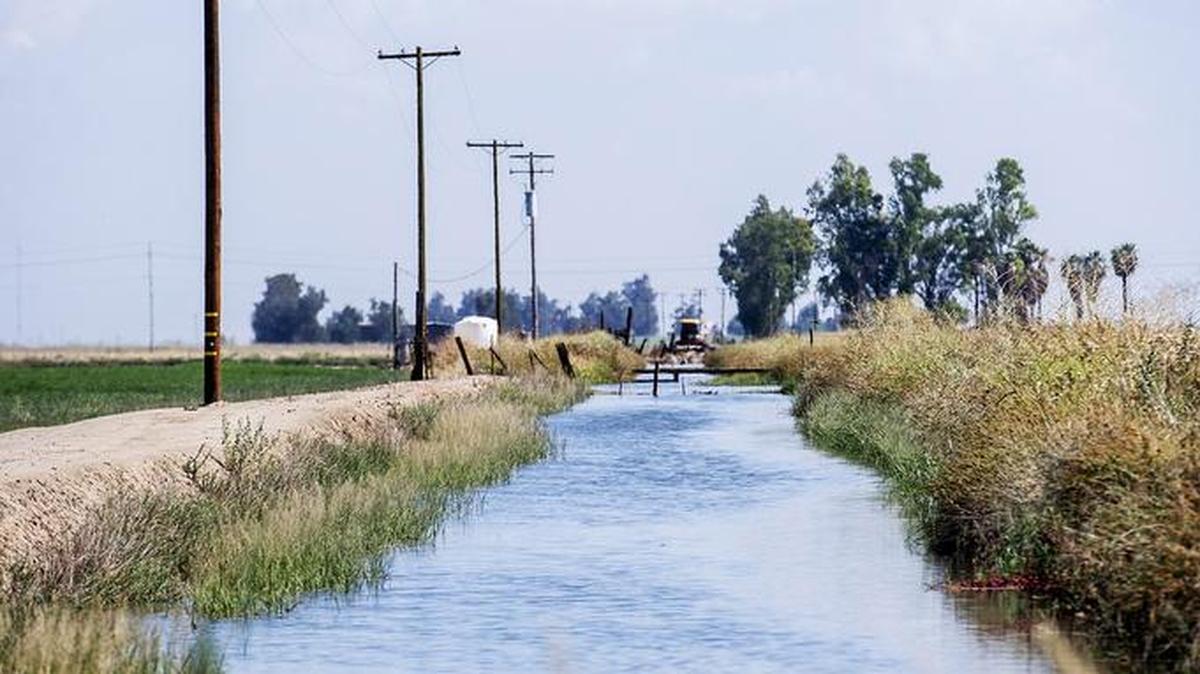 
Existing power lines run along a Merced Irrigation District canal off Bailey Avenue in Merced.
