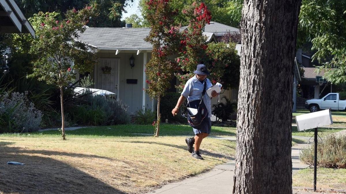 Letter carrier Adrian Aguilar crosses dry lawns on High Street north of Redwood Avenue in Modesto, Calif., on Tuesday afternoon, Aug. 16, 2016.