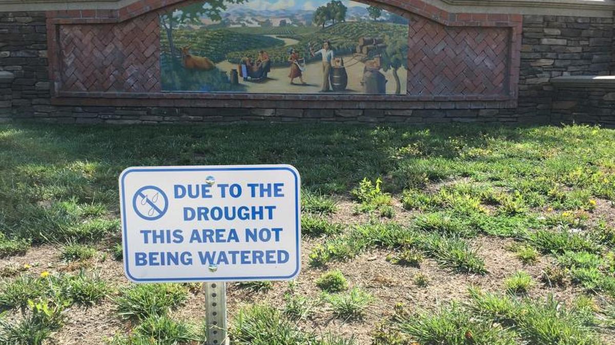 In trouble with the state for failing to conserve enough water during the drought, Riverbank has stopped watering some public areas such as this roundabout at Homewood Way and Crawford Road.
