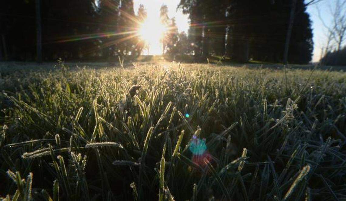 The sun’s rays bounce off frosty blades of grass at Donnelly Park, lending them a fuzzy look. The early morning temperature dipped below into the low 30s on Jan. 1, 2015.