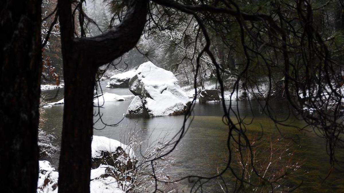 Snow covers the rocks in the Merced River just inside the Highway 140 entrance Wednesday morning at Yosemite National Park. The calm won’t last, though, with a warm storm rolling in this weekend that is expected to melt the park’s snow and cause the Merced River to flood into Yosemite Valley.