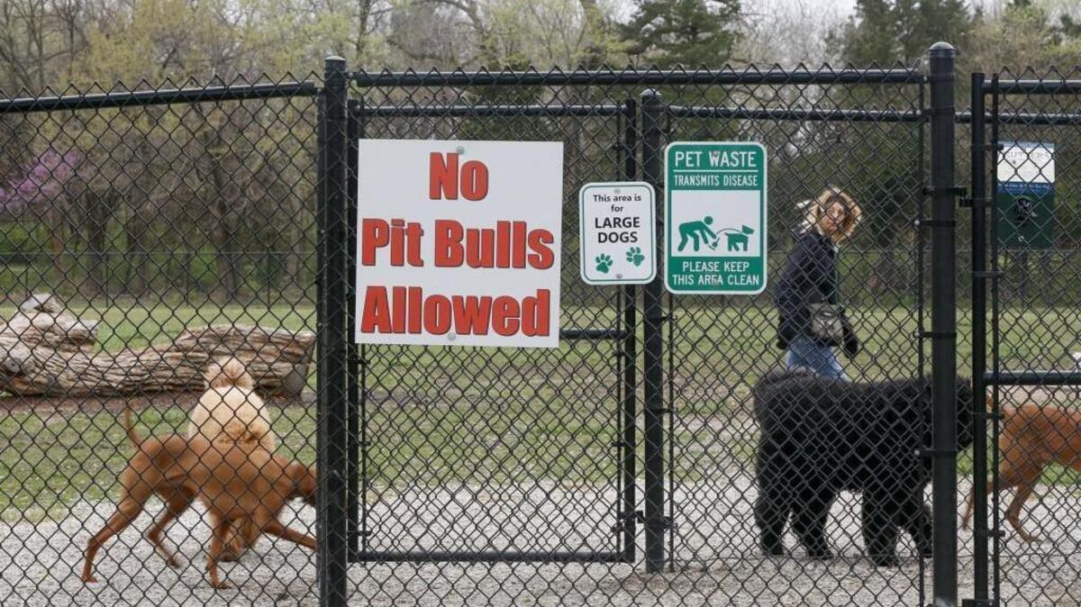 A woman walks her dogs in the in the dog park at Andover Central Park Thursday. The no Pit Bulls sign just went up last week. (March 30, 2017)